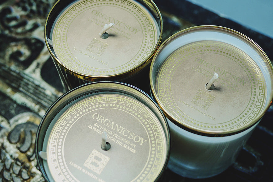 The Suite Life Collection